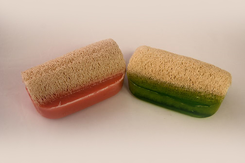 soap with built in loofah